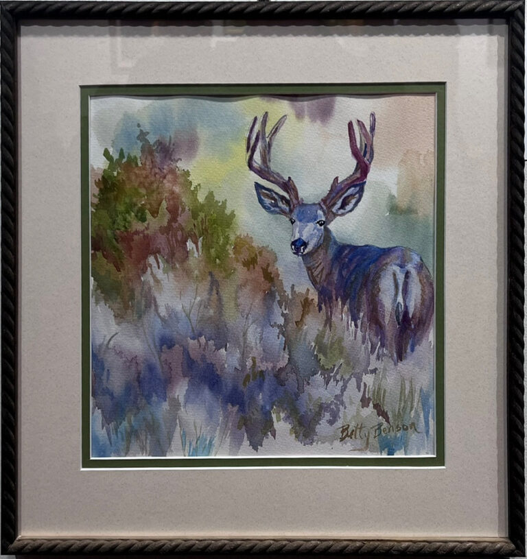 HM 2026 - In the Brush © Benson